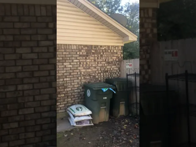 Good Morning from Bartlett